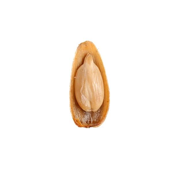 Inner Mongolia Wholesale Chinese Spiced Fried Melon Seeds Supplier Non-GMO High Quality Good Price Organic Raw Materials