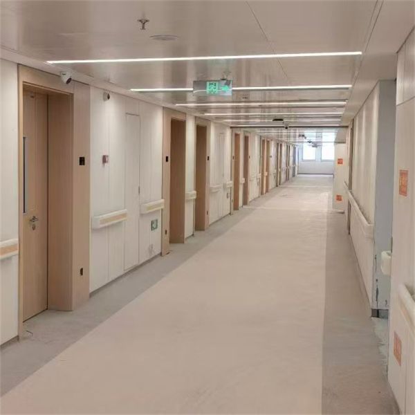 Flame Retardant Fire-Proof Cleanroom Door Excellent Sealing Protection For Hospital Healthcare Environments