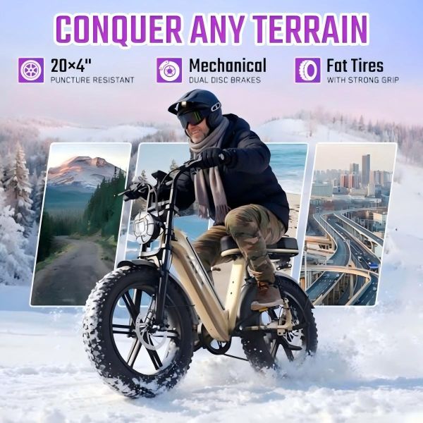 R7 Electric Multi-Purpose E-Bike Brushless Steel Frame Dual Suspension Disc Brake Rear Hub Motor 15AH Electric Utility Bike