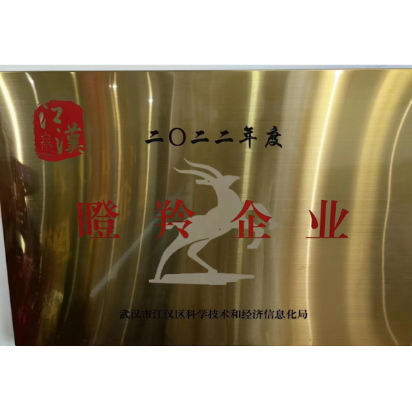 Wuhan Aobong Surface Technique Co., Ltd.
