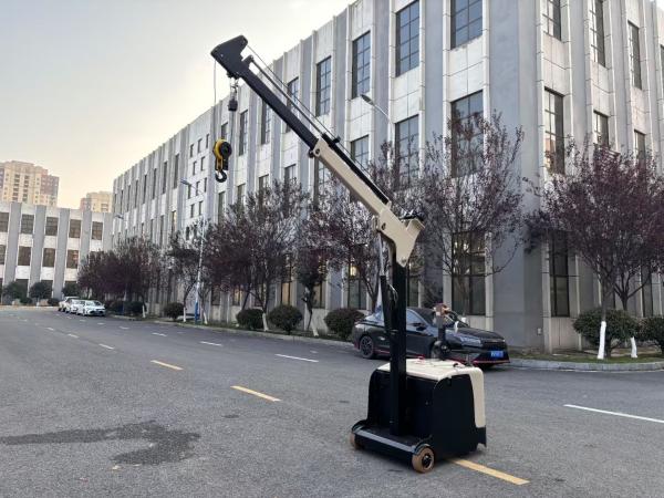300 KG Lifting Capacity Non Standard Electric Crane Arm Counter Balance Forklift  Truck  Lifting Height 3000 MM