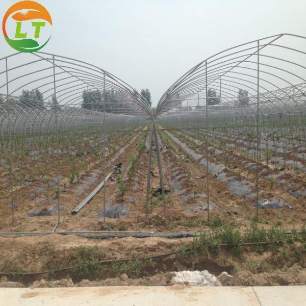 Single Layer Chinese Greenhouse Frame for Compression Resistant and Customizable Design