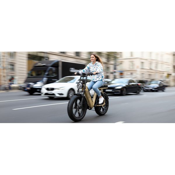 R7 Electric Multi-Purpose E-Bike Brushless Steel Frame Dual Suspension Disc Brake Rear Hub Motor 15AH Electric Utility Bike