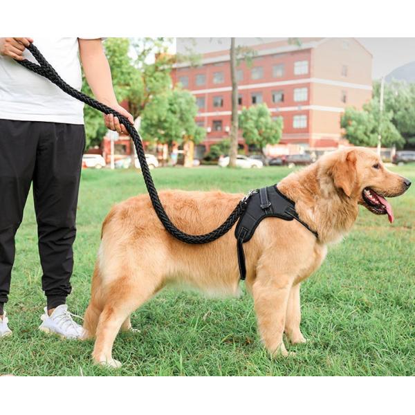 Waterproof Heavy Duty Retractable Dog Lead For Big Dogs Nylon
