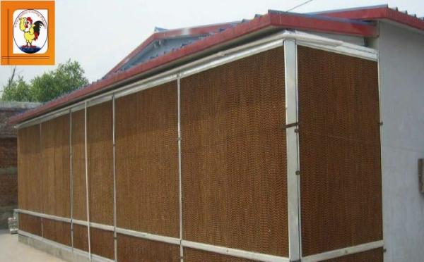 Evaporative Cooling Pad for Livestock Farm 