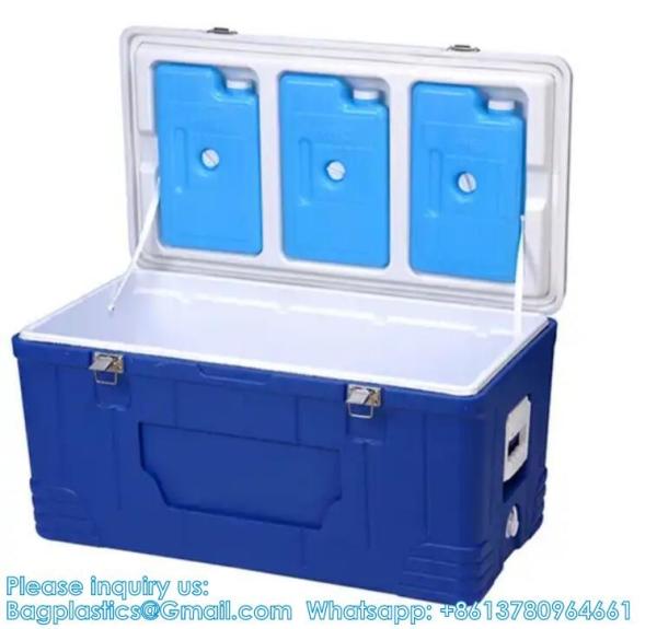 Custom Medical Organ Transport Portable Cooler Wine Beer Styrofoam Ice Chest Thermal Bag Food Large Cooler Box