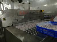 Refrigerador eterno industrial Iqf da explosão de Mesh Belt Tunnel Freezer 1000kgs/Hour 800kgs/Hour