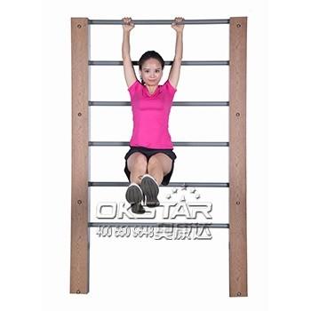 china outdoor park gym equipment  WPC materials based street workout bars