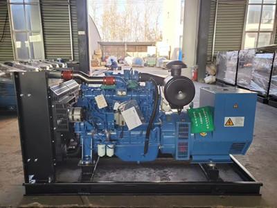 180 KW Super Perkins Generator Quick Repair Perkins 3 Phase Generator