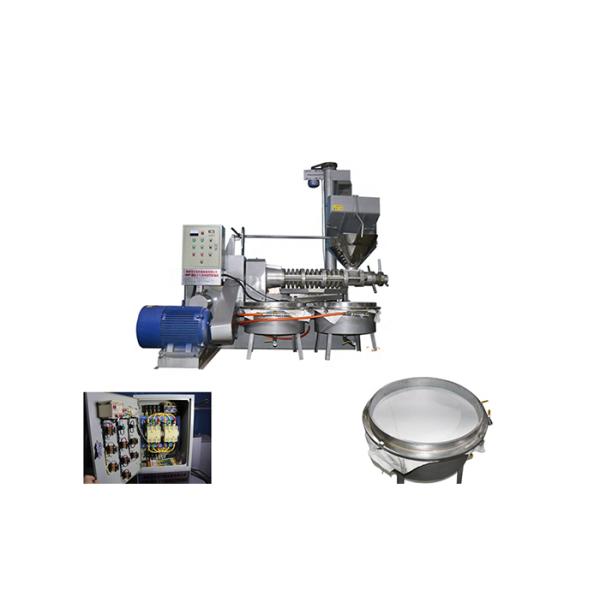 Heavy Duty Automatic Oil Extractor Small Peanut Oil Press Machine 18.5kw
