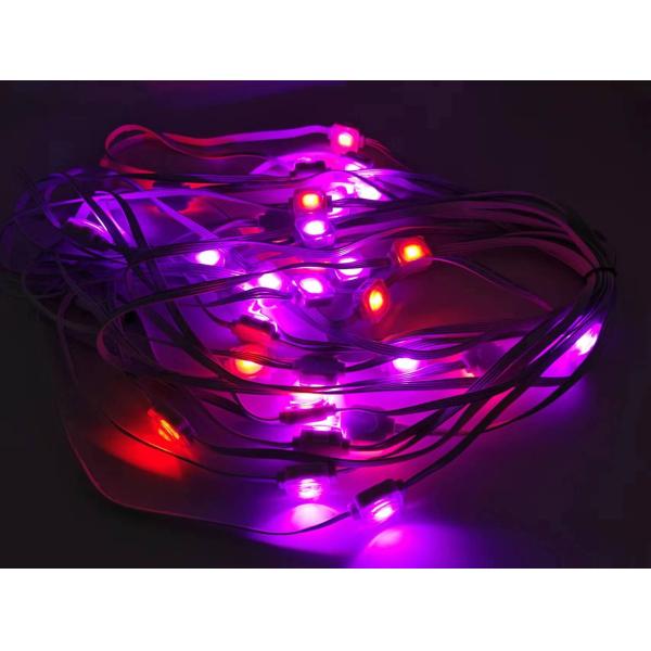 RGBW LED Рождественская вечеринка Свадебное украшение Пиксельные наружные точечные огни