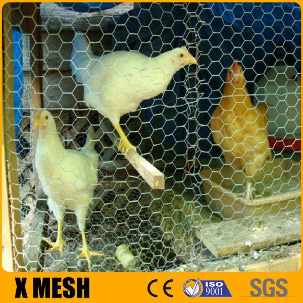 Galvanized Weave Mesh 0.3mm Hexagonal Chicken Hex Wire Mesh Nettting
