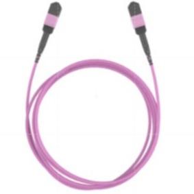 OM3 OM5 MPO Fiber Optic Cable Trunk Mpo Patch Cord Data Center Patch Cords