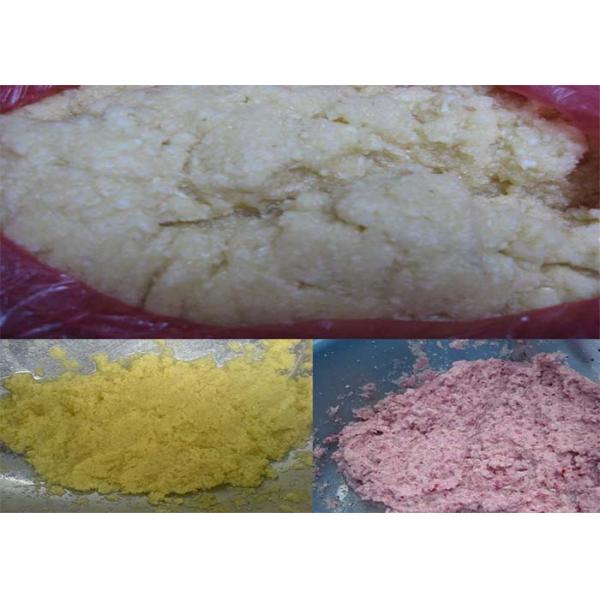 Trituradora rota fruta del equipo de proceso del ajo del chile de Materail del SUS 304