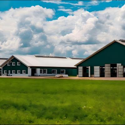 Africa 100m by 20m Insulated Design Prefabricated Steel Structure Chicken House