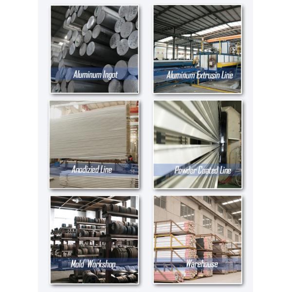 Отливка штранг-прессования теплоотвода голубого воздушного охлаждения алюминиевые и теплоотвод вковки