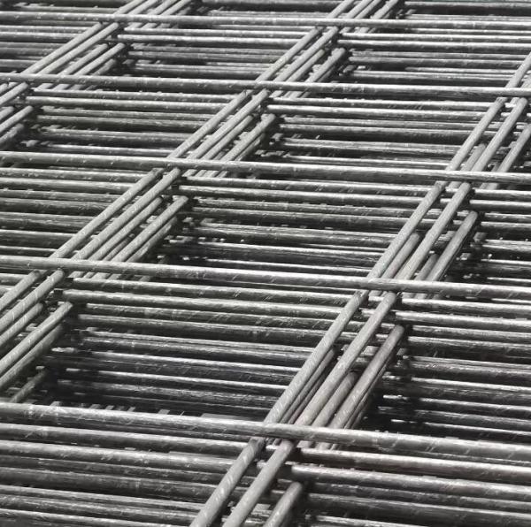 2x2 Galvanized Welded Wire Mesh Panel for Animal Cages