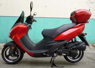 trotinettes dobro para adultos, trotinettes do gás dos faróis de motor legais da rua montados inteiramente