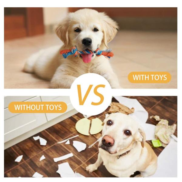 Cat Sound Plush Toy Set Silicone Rope Interactive Plush Dog Toys