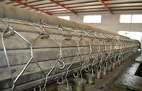 2X1X1m hot dipped Galvanized gabion box gabion Basket Stone Cage Retaining Wall Cage Gabion