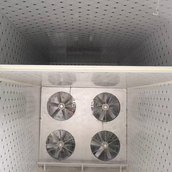 SS304 Saffron Crocus Rosemary Herb Cabinet Dryer Spicy Making Machine Heat Pump