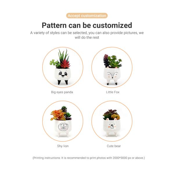 3d Animal Instagram Керамический мини сочный цветочный горшок
