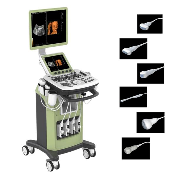 Zoncare 3D/4D Trolley Medical Digital Color Doppler Ultrasound System for Hospital