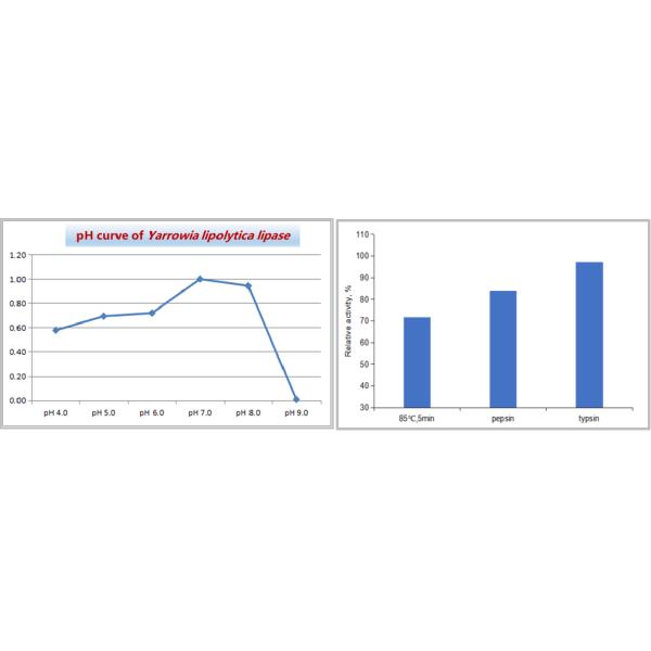Optimal PH7.0 10000u/G Poultry Enzymes Lipase Enzyme Powder