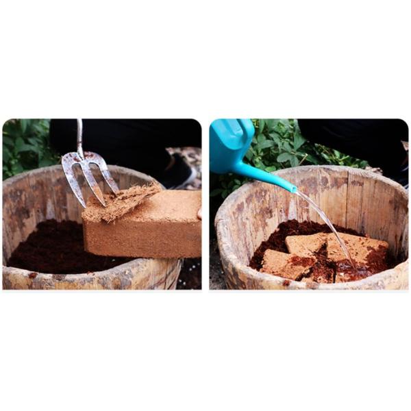 Поставка 6500KG гидравлическая кокопиевая блочная прессовая упаковочная машина для блока растительных волокон