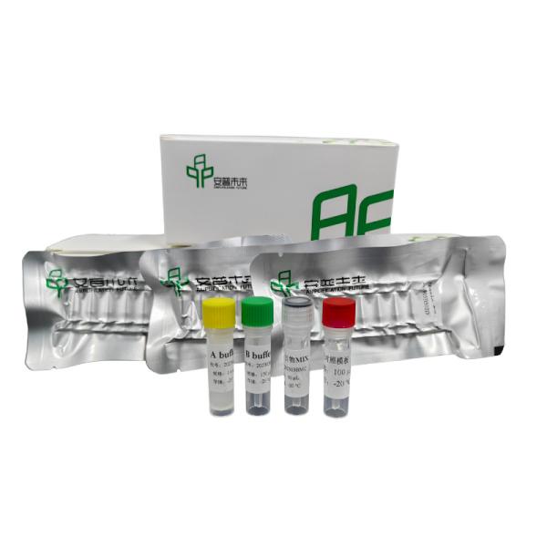 Kit de PCR isotérmico de ARN de alto desempenho para quantificação precisa