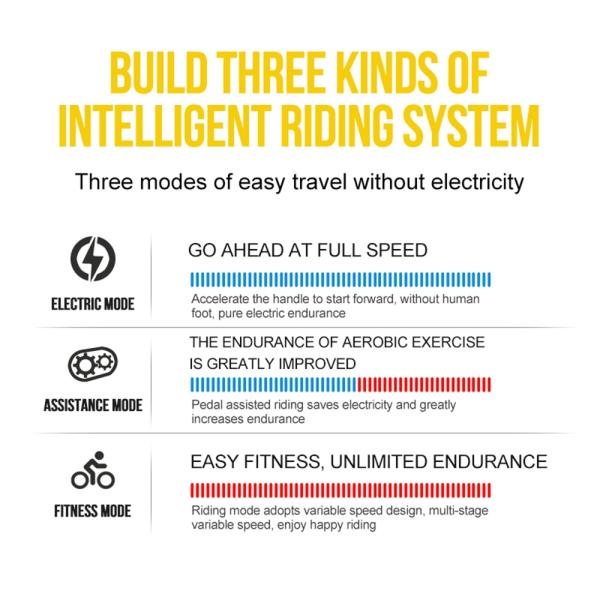 Electric 36V Lithium Battery Bicycle 250W Lockable Suspension Fork Ebike Mount