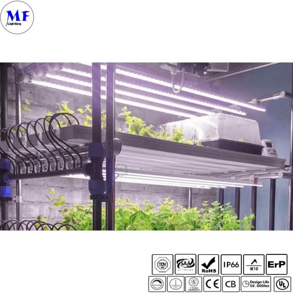 Eficiência energética IP66 IK08 à prova d'água 540W LED Plant Grow Sodium Light Para Indoor Vertical Hydroponic Farming