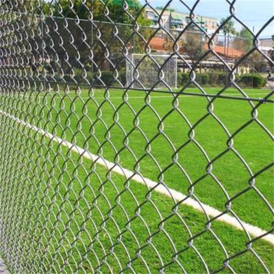 O metal 6 do elo de corrente pés de Pvc de Mesh Fencing Hot Dip Galvanized revestiu