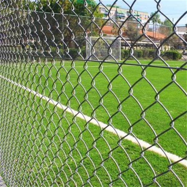 O Pvc de Mesh Fencing Hot Dip Galvanized do fio do elo de corrente de 6 pés revestiu