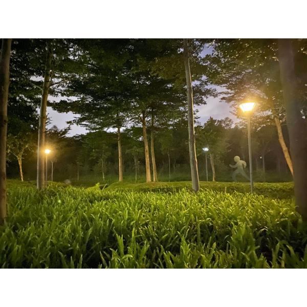10w 20w 30w Solar LED Street Light Integrated All In One MPPT System
