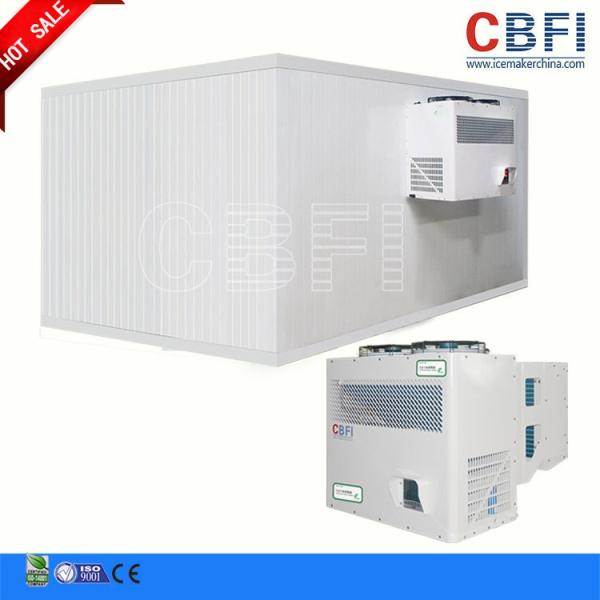 Hotel Supermarket Commercial Blast Chiller With LG Electrical Components