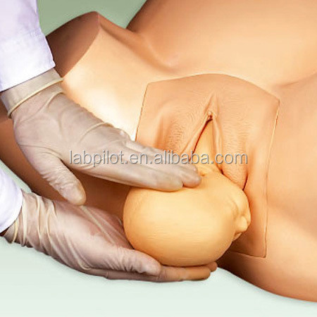 Schools Vacuum Delivery Birthing Simulator with Soft Baby Doll and Human Life Size