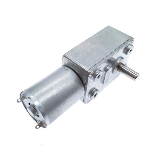 Faradyi Customized 370 High Torque Motor Self-Locking Gear Turbine Worm 24V Dc Gear Motor 12V Low Speed Motor