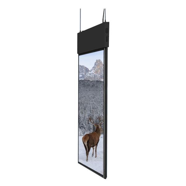 Écran tactile OLED transparent commercial OLED transparent autonome