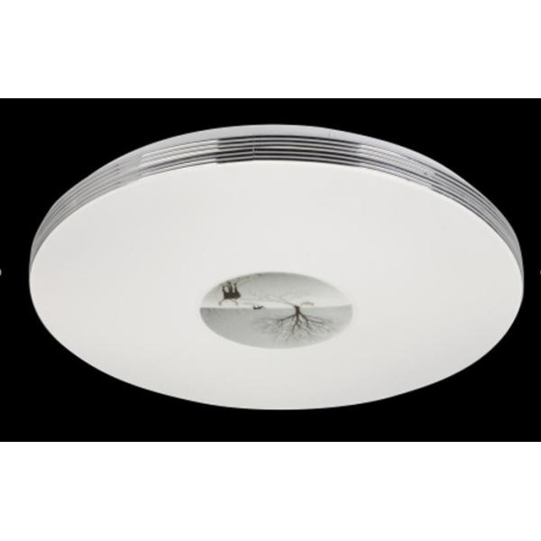 Color Changing Led Ceiling Lights 24w 6000k 3200k 4100k For Living Area / Hotel