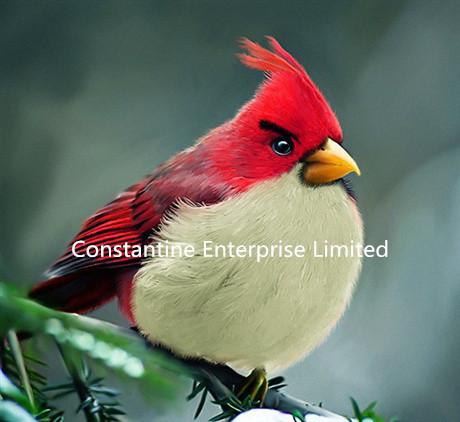 250gsm Double-sided matte inkjet photo paper A3 A4 size