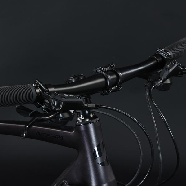 700*35C Tire Flat Bar Adventure Bike with Ordinary Pedal and Aluminum Fork Material