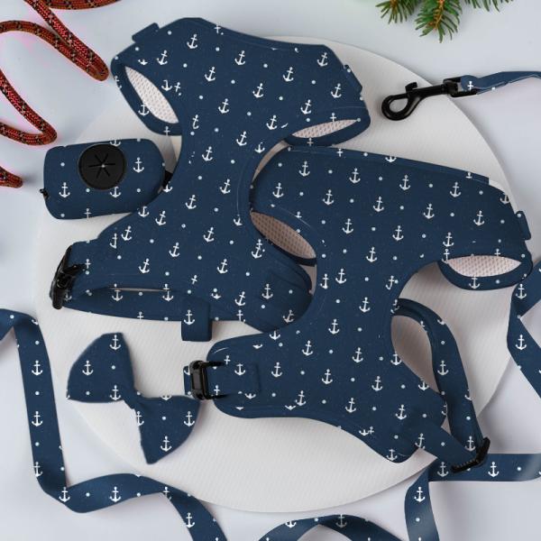 XS S M L XL Puppy Harness And Leash Set Air Mesh Soft Neoprene Collar And Lead Set