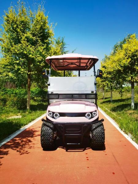 Un chariot de golf à batterie au lithium à double élève peut transporter 4 personnes pour les activités du club de mariage