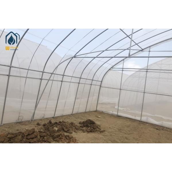 Single Span Plastic Polytunnel Greenhouse Agricultural Vegetable Hot Houses Transparent