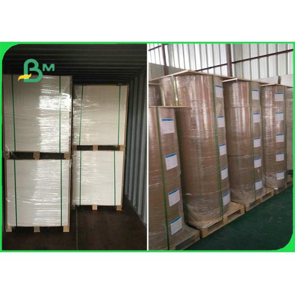 Эко- дружелюбная 70 * 100cm 250gsm - доска 400gsm SBS бумажная для косметической коробки Эко- дружелюбная 70 * 100км 250гсм - доска 400гсм СБС бумажная для косметической коробки