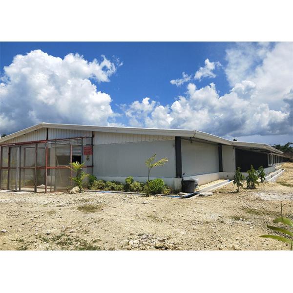 Сталь дома птицы составляет строя структуру склада дома голубя стальную