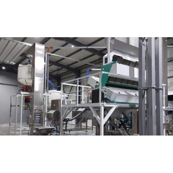 600mm Belt Width High Capacity Juniper Color Sorter Dried Mulberries Blueberry Grain Color Sorting Machine