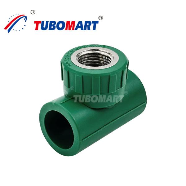 OEM PPR Tubos de plástico Cotovelo PN10 PN16 PN20 PN25 Instalações de encanamento PPR