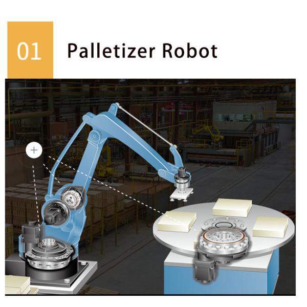 Low Backlash Robotic Cycloidal Gearbox RV-E Series For Positioners